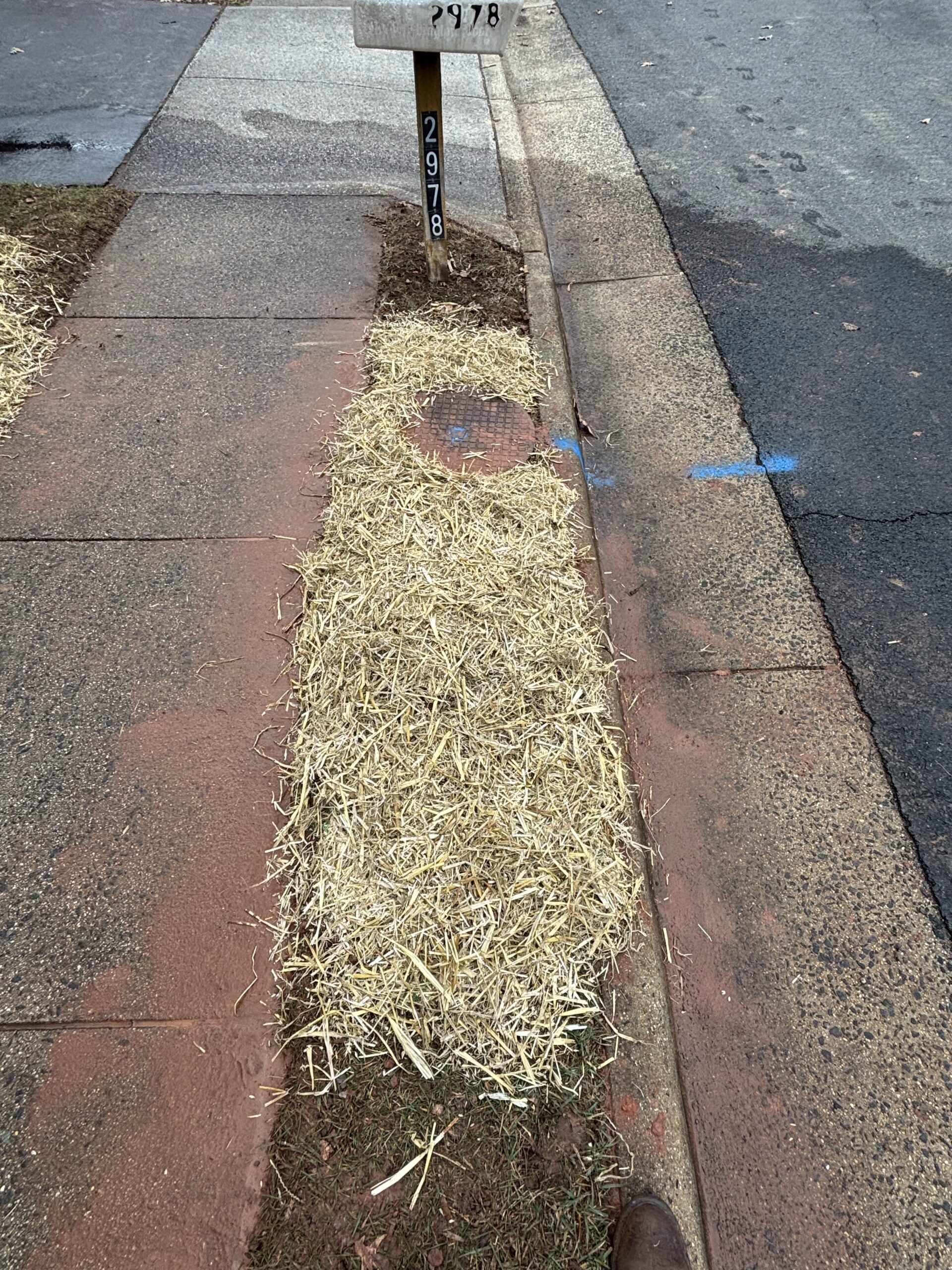 IMG_3197